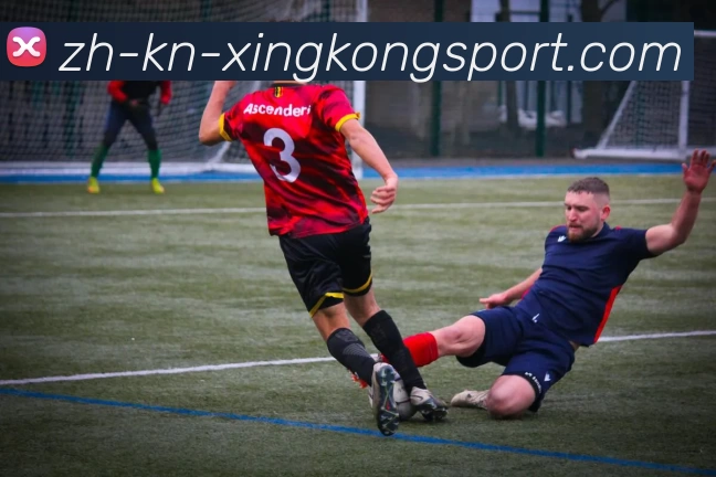 App Interface Preview